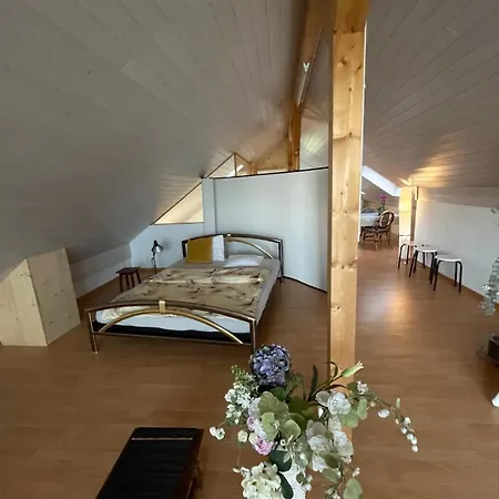 Loftwohnung In Naturnaehe Seeberg